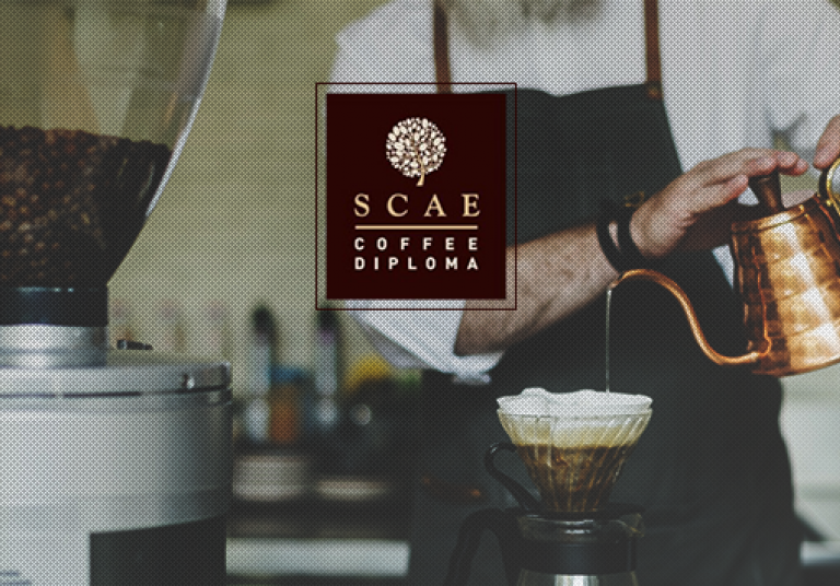 SCAE Brewing Intermediate: τα μυστικά του brewing σ΄ένα σεμινάριο!