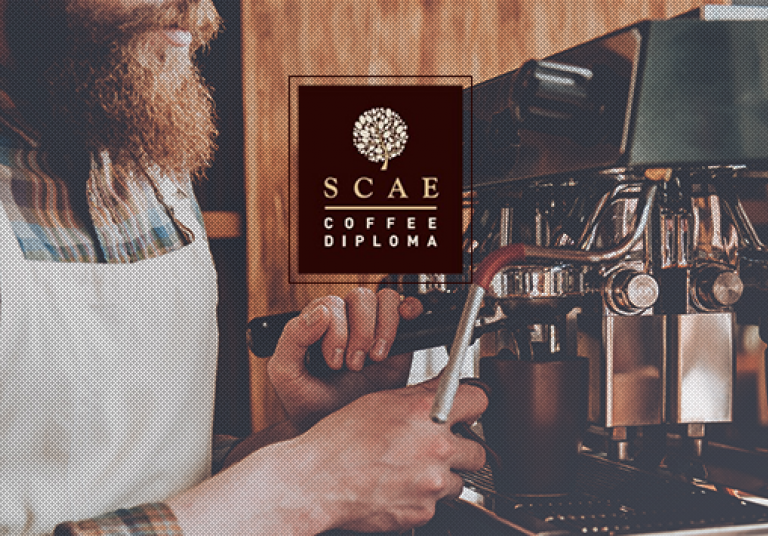 SCAE Barista Intermediate: το σεμινάριο για ακόμα καλύτερο espresso και cappuccino!