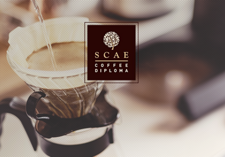 Σεμινάριο SCAE Brewing Foundation: όσα θες να ξέρεις!