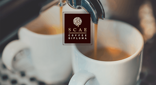 Coffee Diploma: γνωρίστε το εκπαιδευτικό σύστημα τoυ SCAE!