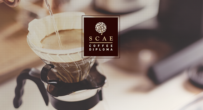 Σεμινάριο SCAE Brewing Foundation: όσα θες να ξέρεις!