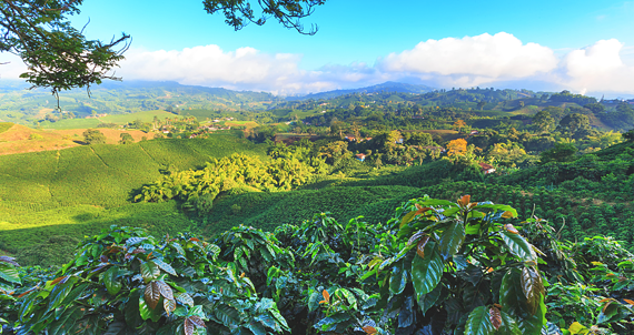 Ταξίδι στις χώρες του καφέ: Κολομβία!